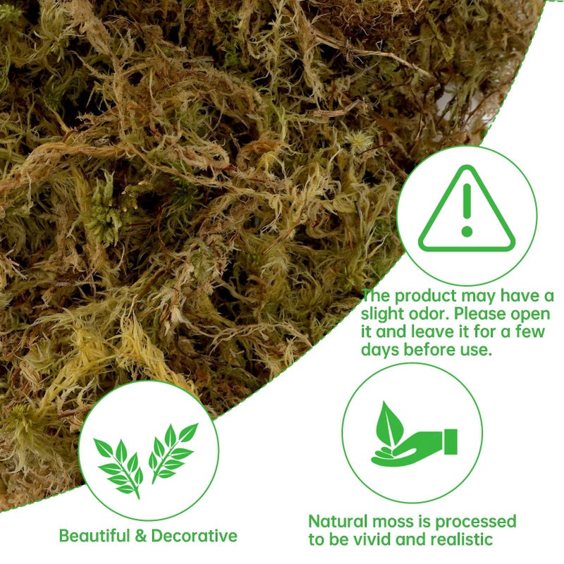 YUNVI 17.6 OZ Artificial Moss for Potted Plants Natural Fake Moss Grass Fresh Green Moss for Hamsters Craft Moss and Greenery Bulk for Garden Wedding Decoration - Image 3